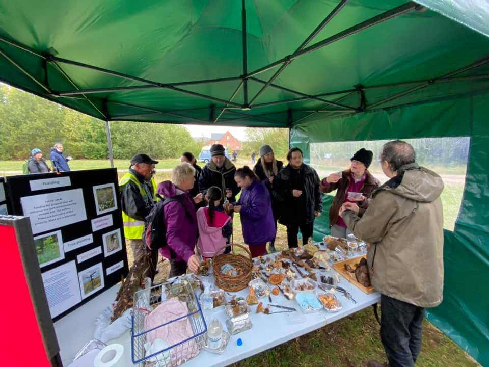 A photo depicticting the fungi identification walk 