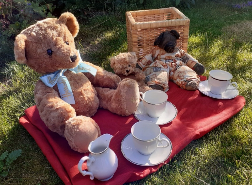A photo depicticting the teddy bears' picnic 