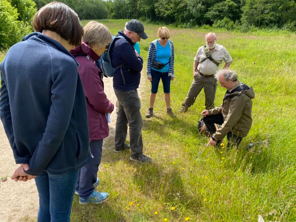 People enjoying one of the guided Wildflower Walks we organise