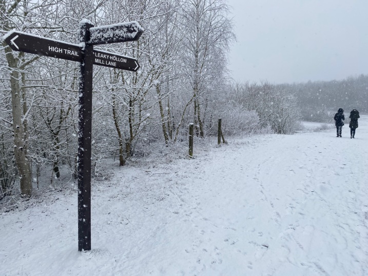 A photo depicticting the winter tree walk 