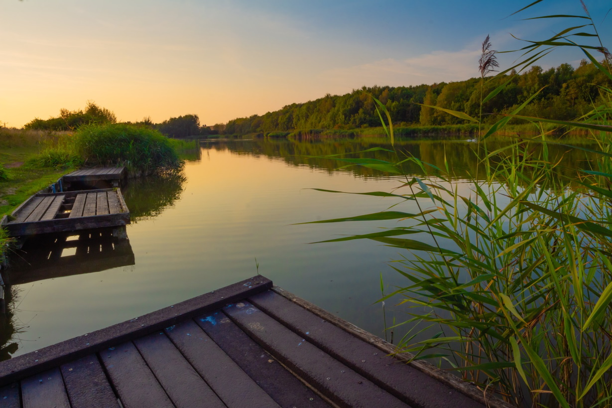 A view of Heron Lake