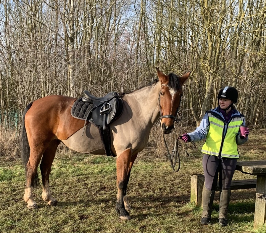 An equestrian rides along the High Trail in Cotgrave Country Park